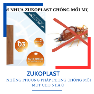 NHỮNG PHƯƠNG PHÁP PHÒNG CHỐNG MỐI MỌT CHO NHÀ Ở